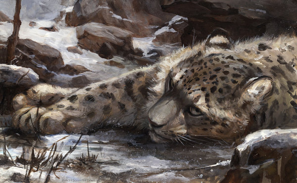 Art by kenket. Leopards and leopards. [deviant art] - Deviantart, Art, Leopard, Leopard, cat, Animals, Longpost, Kenket, A selection
