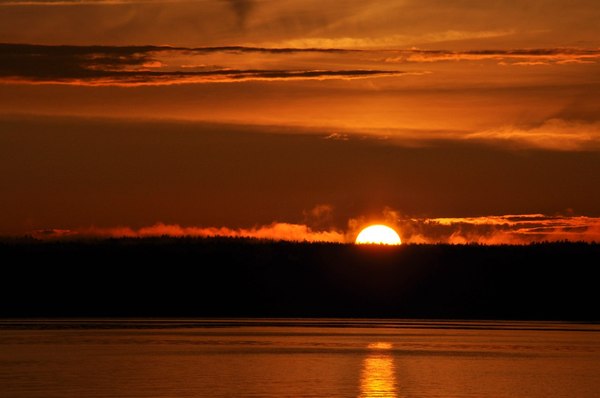Fiery sunset on the Volga - My, Volga, Sunset, River, Forest, Photo, beauty, Nature, Chuvashia, The photo, Volga river