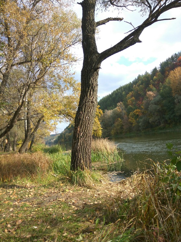 Svyatogorsk, favorite city, nature - My, Svyatogorsk, beauty of nature, Longpost