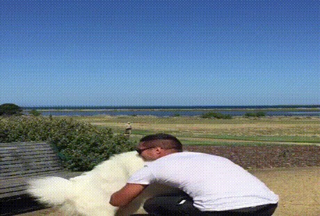  !