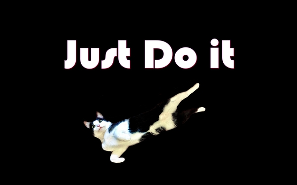 Just take my puziko) - Моё, Кот, Nike, Just Do IT