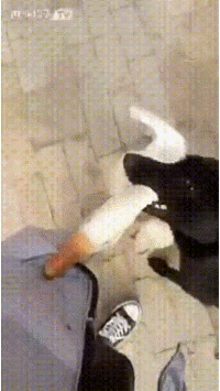 , )