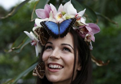 Hothouse butterflies in the gardens of the Wisley - Butterfly, Girls, Longpost, Greenhouse, , 