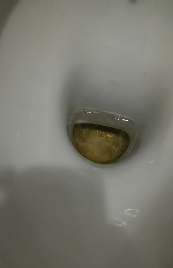 coins for luck - My, Toilet, Happiness, Tribute, 