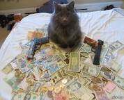 800 year old cat for 5 million rubles. - , news, cat, Psychics