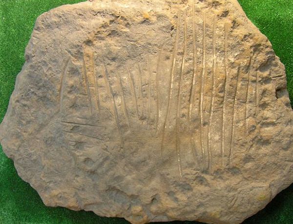 The Oldest Sundial in the World, 3500 years old, was found near Donetsk!!! A similar find in Russia. - My, Archeology, Sundial, Archaeological finds, Ancient artifacts, Video, Longpost