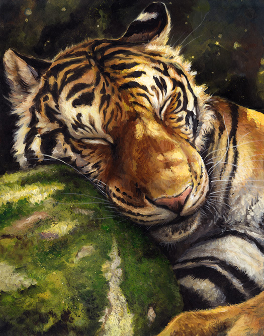 Art by kenket. Tigers. [deviant art] - Art, Deviantart, Tiger, cat, Animals, Longpost, A selection, Kenket