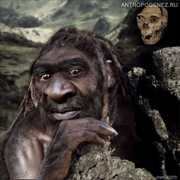 Наша родословная: Гоминиды (Часть 5) Антропогенез, Приматы, Гоминиды, Homo, Длиннопост, Познавательно