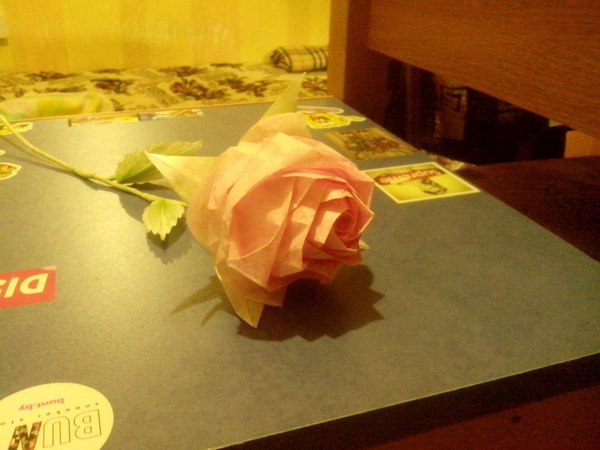 Paper flowers - My, the Rose, Origami, Minsk