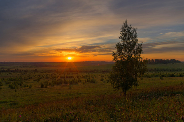 A little bygone summer - My, The photo, Nature, Siberia, Kemerovo region - Kuzbass, Prokopyevsk, HDR, Панорама, Longpost