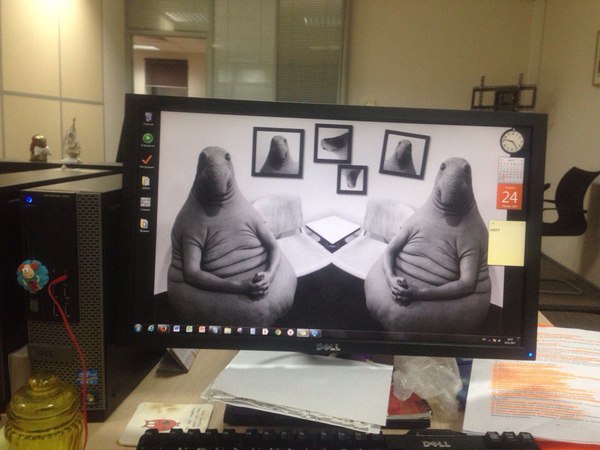 Peekaboo, thanks for the new desktop! - My, Desktop, Microsoft PowerPoint