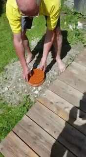 Опытный дачник