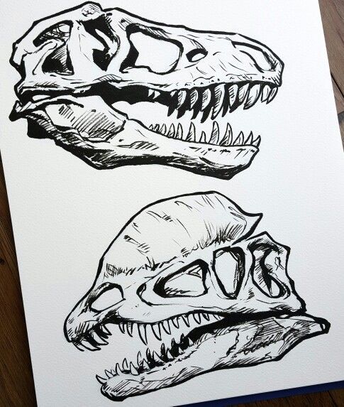 Mom, I want a dinosaur! - Tattoo, Longpost, Dinosaurs, Skeleton, Sketch, Sketch, Llt