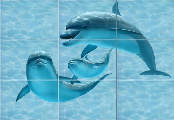 Когда не знаешь, как выглядят дельфины Дельфин, Пазл, Ремонт