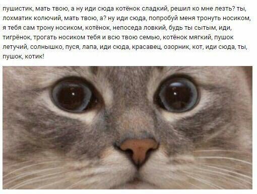,  !