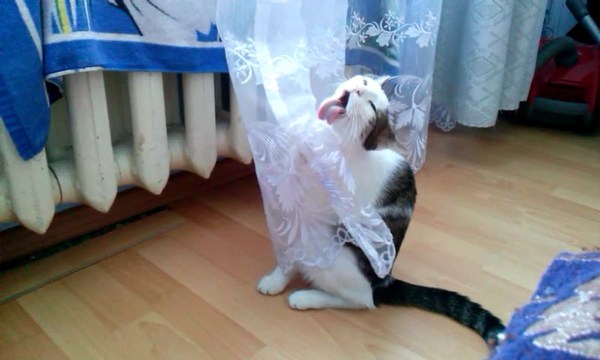 ,    , , 