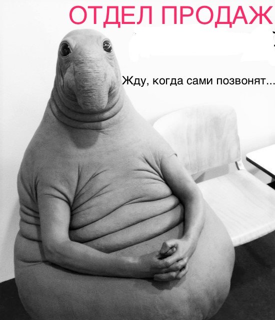   ... , , 