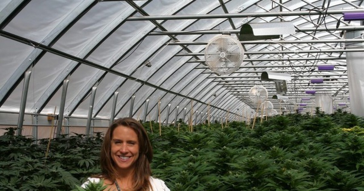 Почему марихуана разрешена в голландии какой грунт подходит для выращивания марихуаны