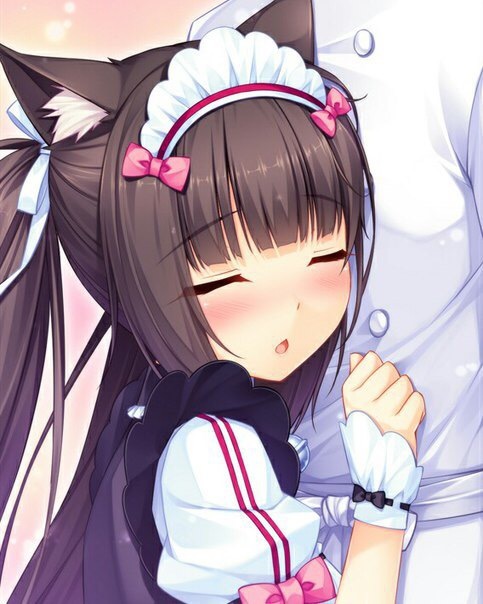 Chocola^^ - Аниме, Anime Art, Nekopara