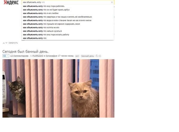 Posts - Matching posts, Posts on Peekaboo, cat