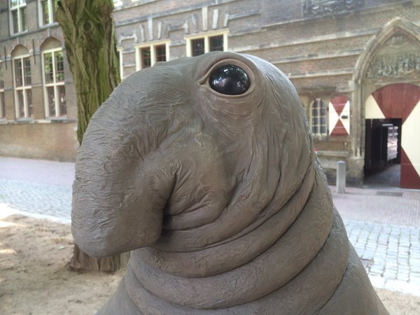 Doctor, what's wrong with me: the exhibit Zhdun conquered social networks - Memes, Zhdun, Elephant seal, Sculpture, Longpost