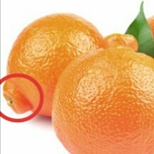 Мандарины-мальчики