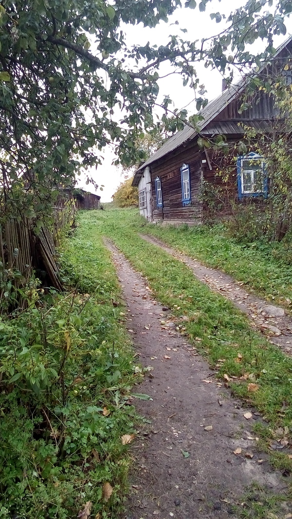 Peace and quiet. - My, House, Dacha, Calmness, , 