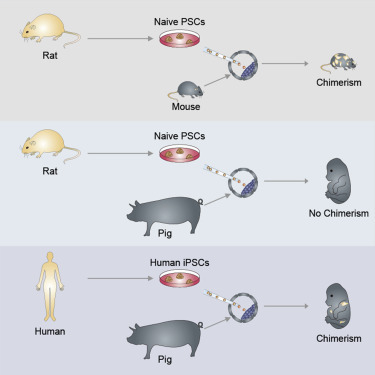 Meanwhile mutants become reality - Biology, Embryo, Mutant, Scientists