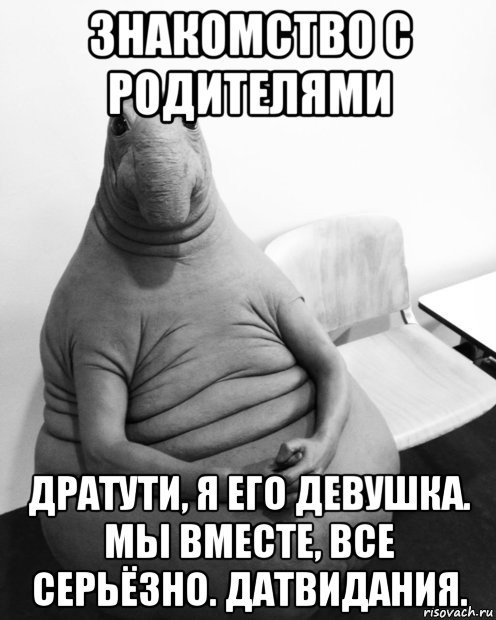 When the time came to meet his parents - Zhdun, Memes, Acquaintance, Parents, Gratuti