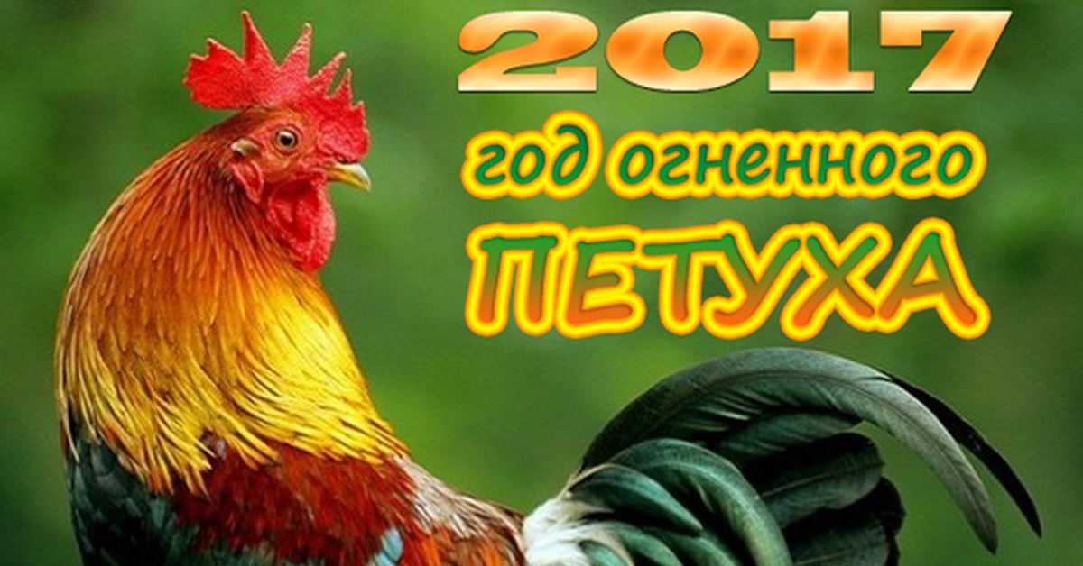 Наступающий петух. Год огненного петуха. 2017 Год огненного петуха. Год красного огненного петуха. Петух кукарекает звук видео.