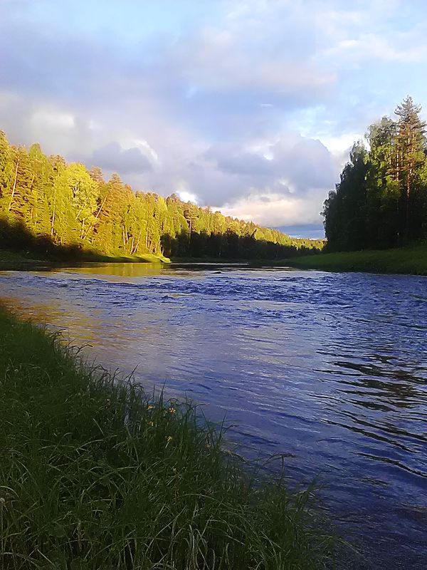 Outdoors Good - Fishing, Nature, River, Forest