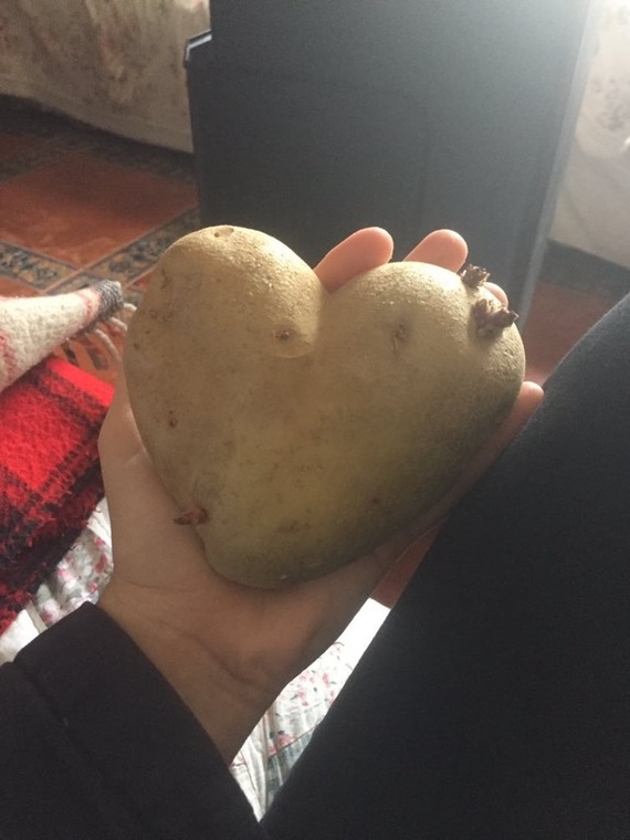 Potatoes grown with love - Photo, Potato