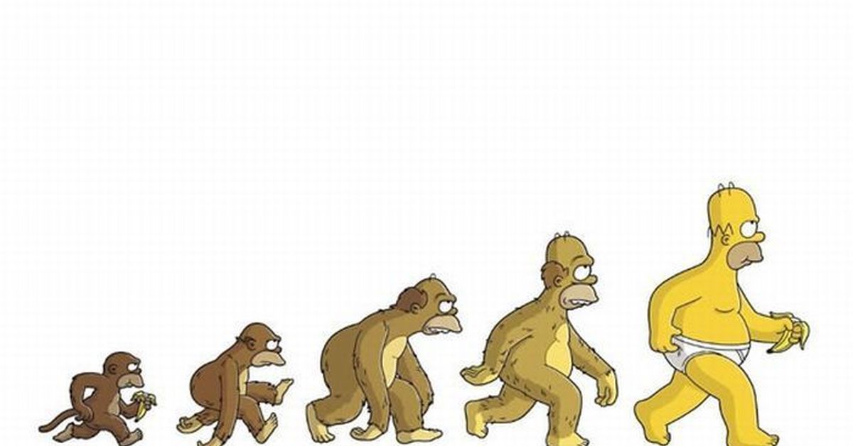 Игра мемы эволюция. Эволюция. Эволюция человека. Шутки про эволюцию. Эволюция человека симпсоны.