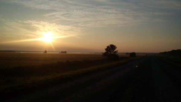 Autumn Morning - My, The photo, Novosibirsk region