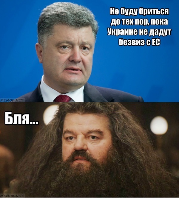 Just a little more patience... - Politics, Petro Poroshenko, Visa-free regime, Hagrid