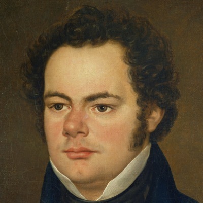 January 31 Franz Schubert turns 220 - Franz Schubert, Music, Classical music, Anniversary, Video