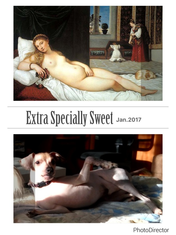 Venus Titian - My, Titian, Dog, Animals, Cosplay