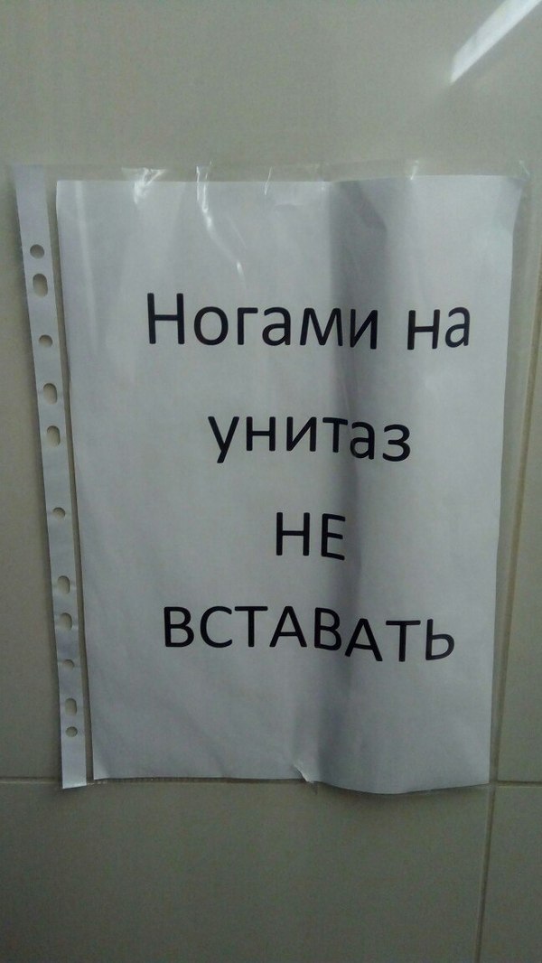 And so I wanted! - Toilet, My, Tomsk