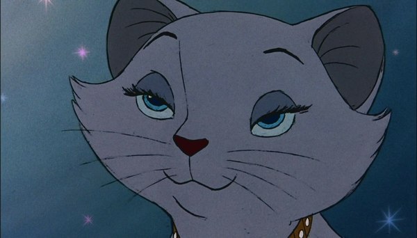 Сон уходи Сон, Кот, Утро