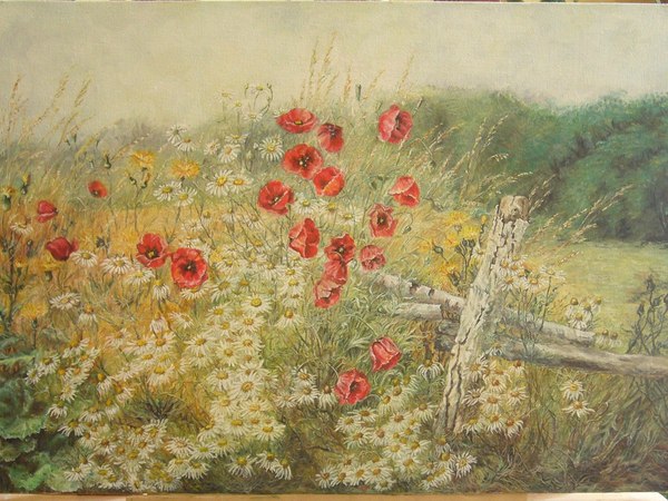 Poppies - My, Canvas, Oil painting, Painting