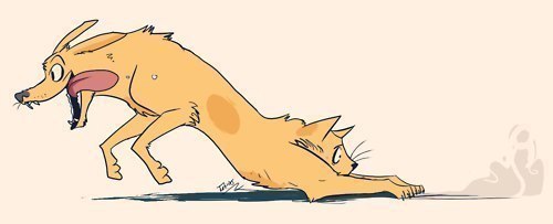 Cat dog - Kotopes, Cartoons, Catdog (cartoon)