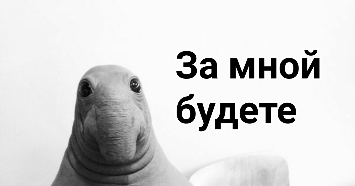 Вы дождетесь этого. Ждун. Ждун в очереди. Ждун Мем. Ждун в очереди в поликлинике.