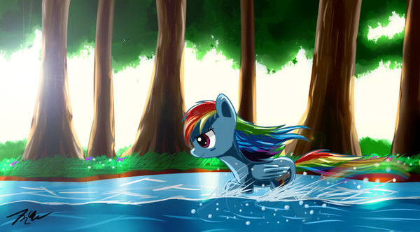 Rainbow Dash in Forest My Little Pony, Ponyart, Rainbow Dash