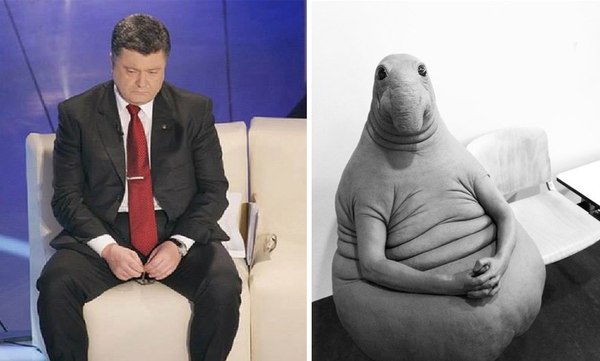 Look like?! :) - Petro Poroshenko, Zhdun