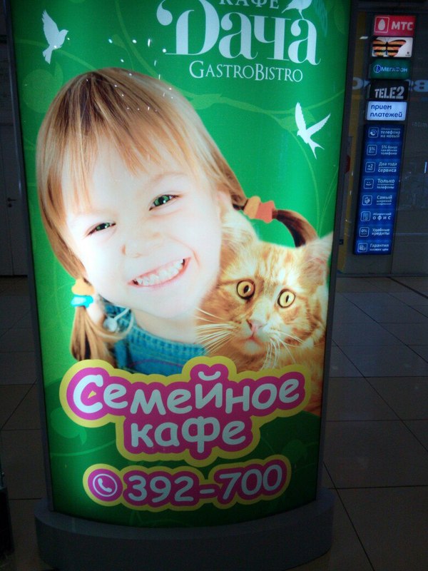 There was a cat and no cat ... - Cafe, Naberezhnye Chelny, Maniac, Sight, Fear, cat, My, Advertising