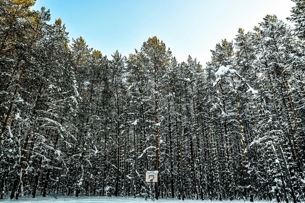 Perm, Chernyaevsky forest day and night. - My, Nature, Permian, Chernyayevsky Forest, Longpost