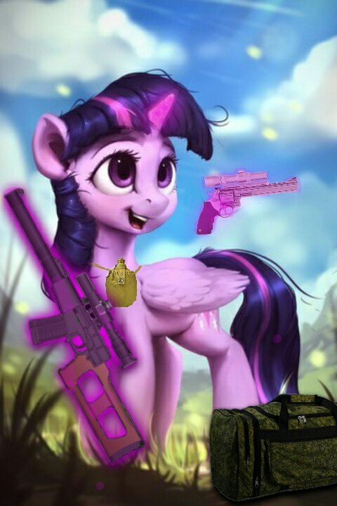 Twilight in wartime - My, My little pony, MLP military, Aria