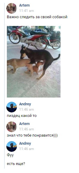 Когда не уследил за собакой