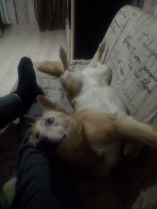  !!:D  , , , 