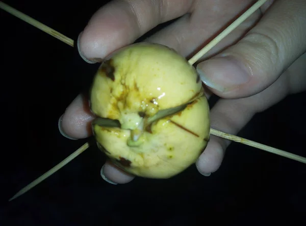 Что находится внутри косточки авокадо Posts with tags Avocado, Growing - gollum.space